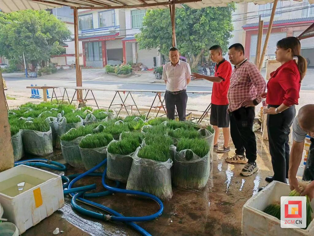 微信圖片_20240528095343.jpg