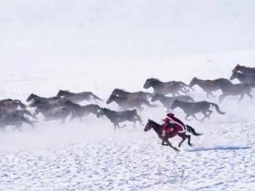 贺娇龙，拟追记大功