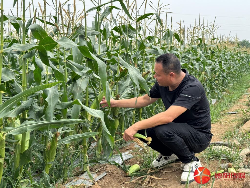 微信图片_20260618105347.jpg