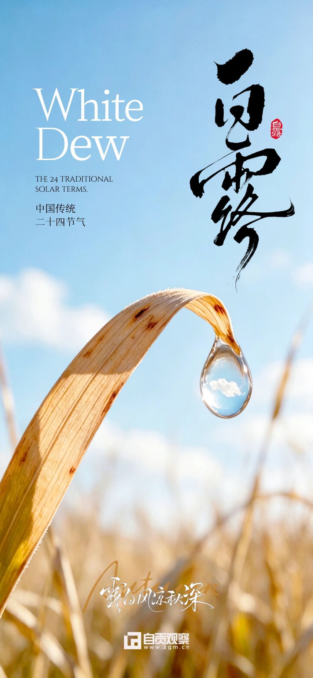 白露 企业行政 白露节气祝福 国风水彩插画 朋友圈 全屏海报2.jpg