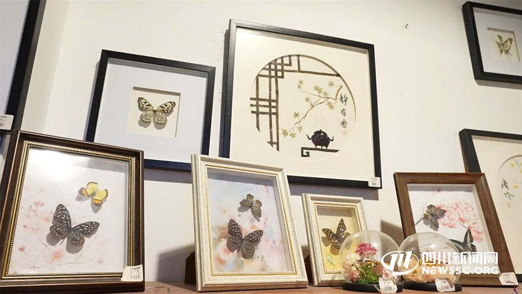 瀘州”這有光“非遺蝴蝶畫展示(1).jpg