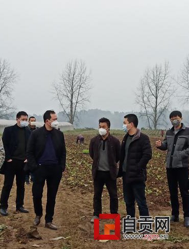 图片1_看图王.png