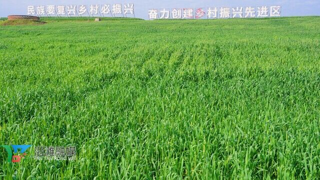 DSC04238.JPG