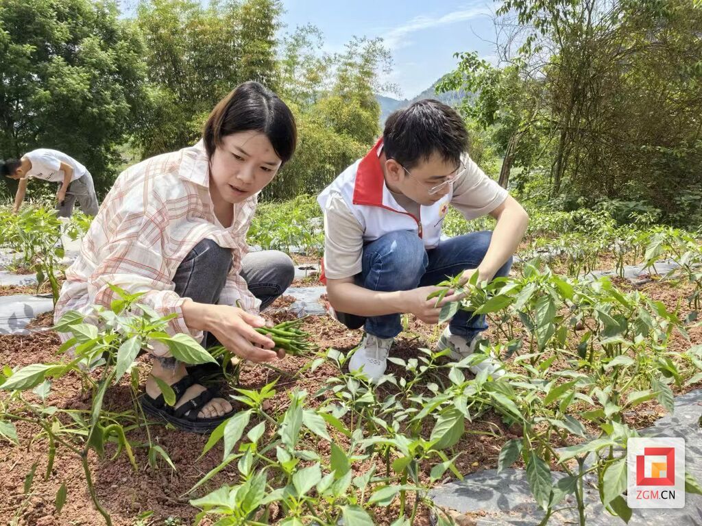 微信图片_20250528100353.jpg
