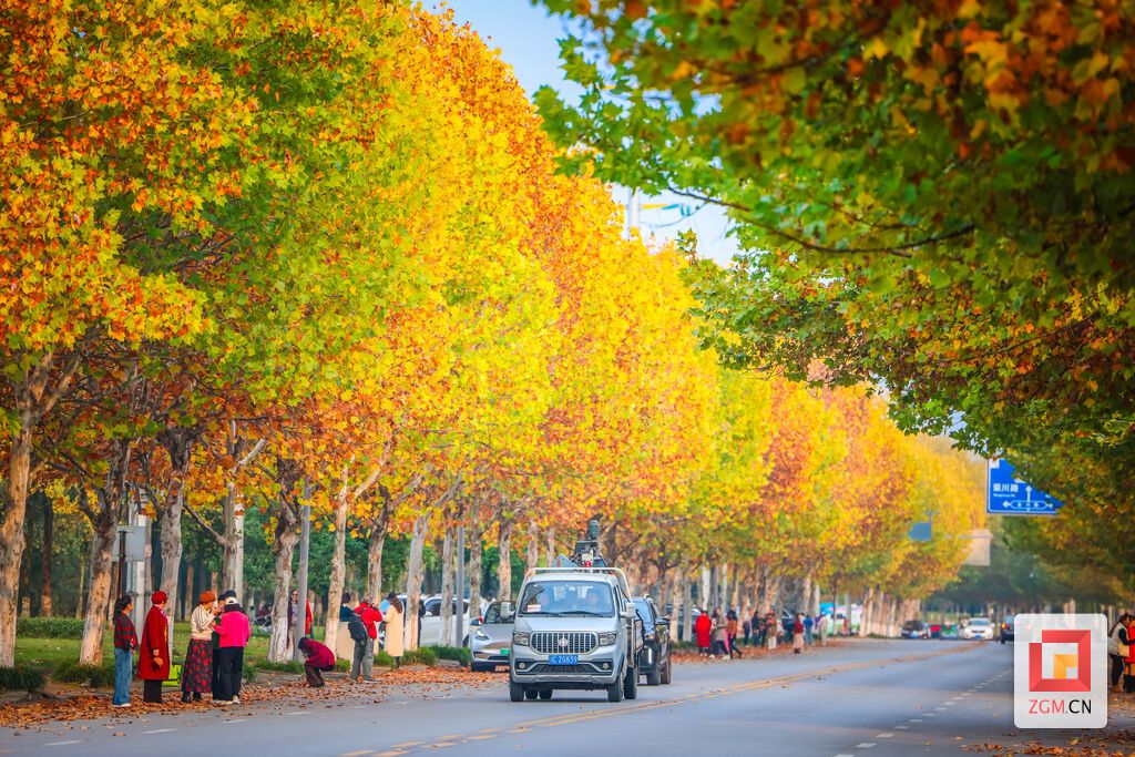 一条路 一个季节的浪漫 记者 宋姿熠 摄.jpg