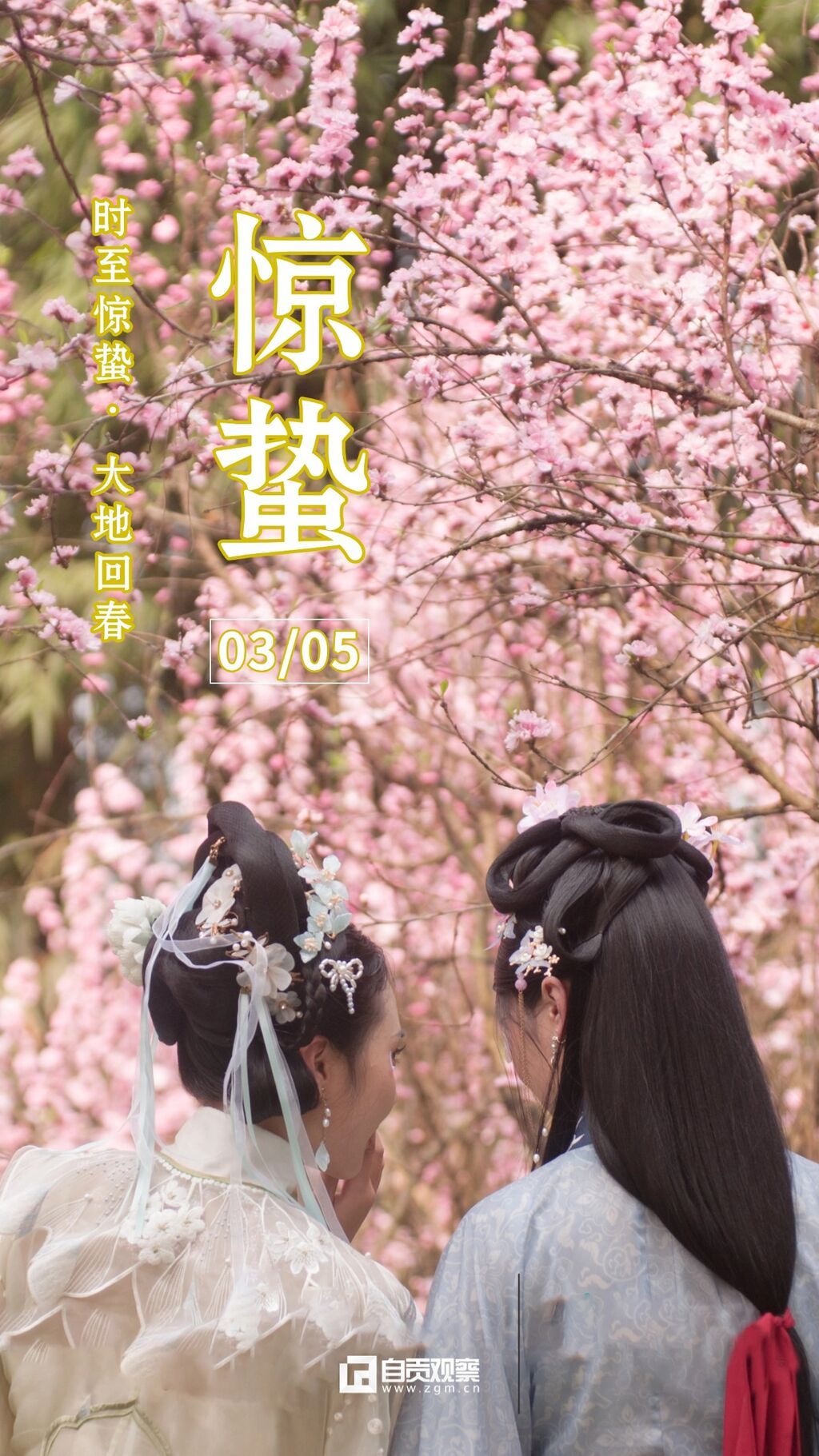 驚蟄節(jié)氣祝福手機海報(2) (1).jpg