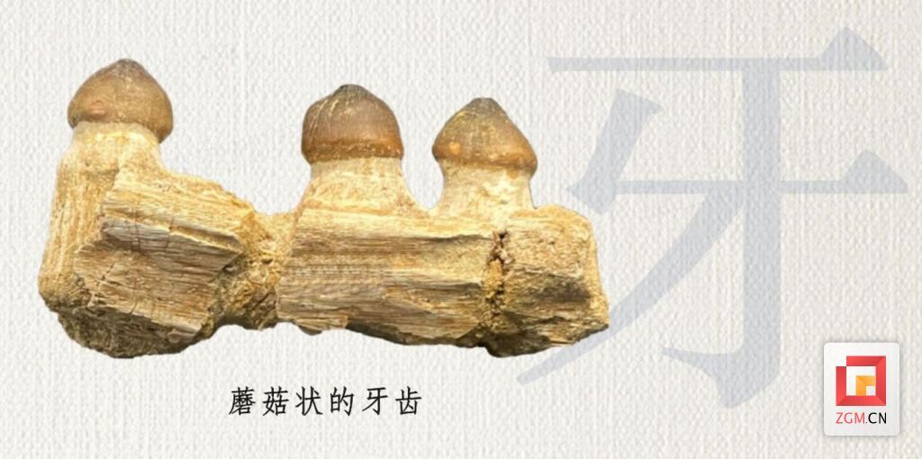 圖片3.jpg