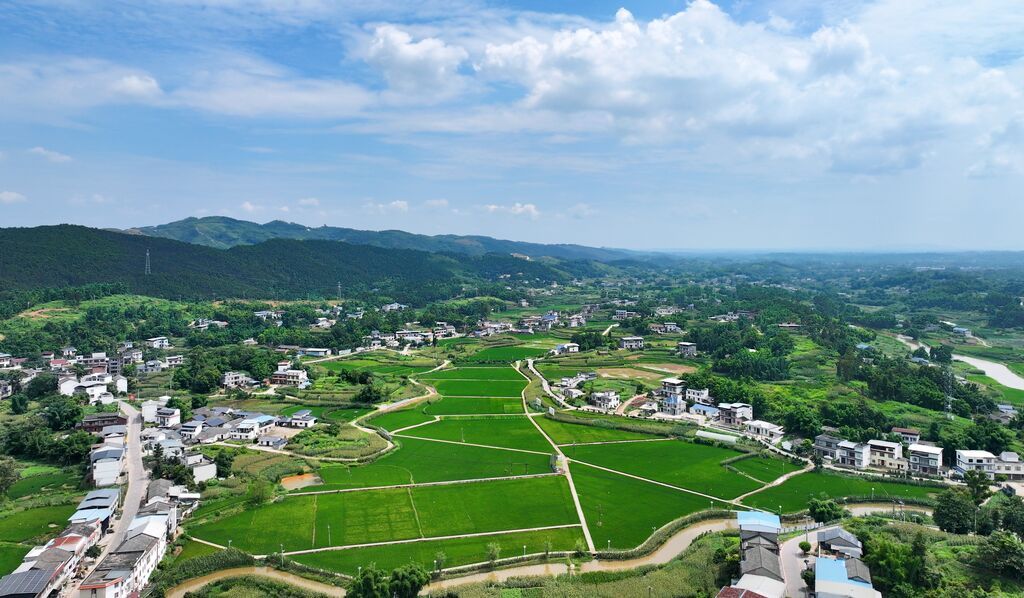 微信图片_20260701191123_5593_74.jpg