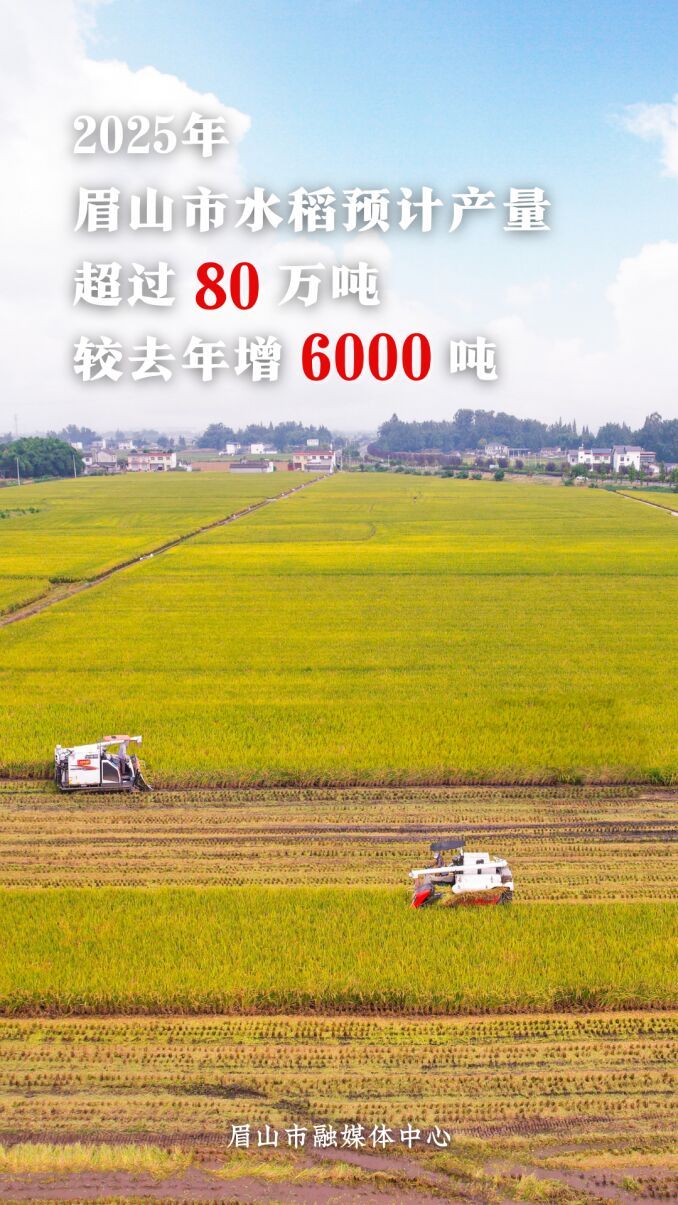2025上半年GDP 副本.png