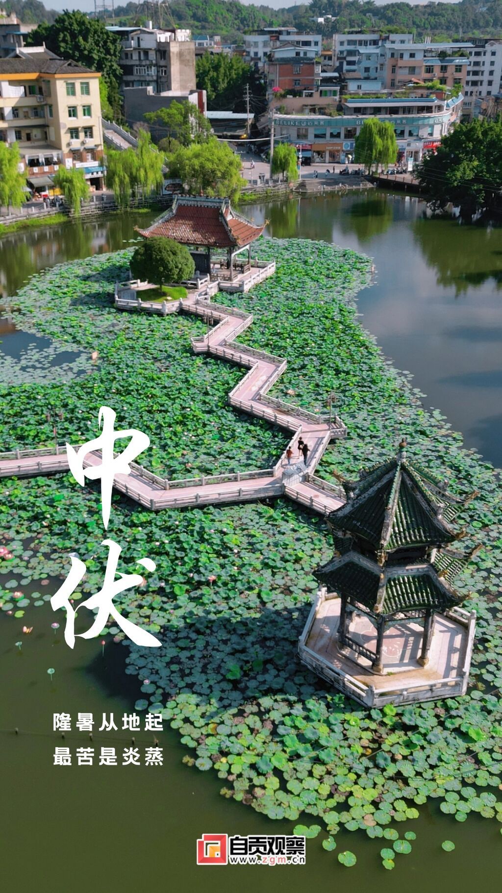 稿定設(shè)計-2.jpg