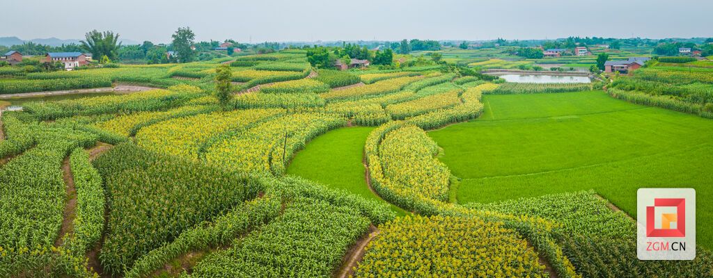 DJI_20240614084803_0012_D-Pano.jpg