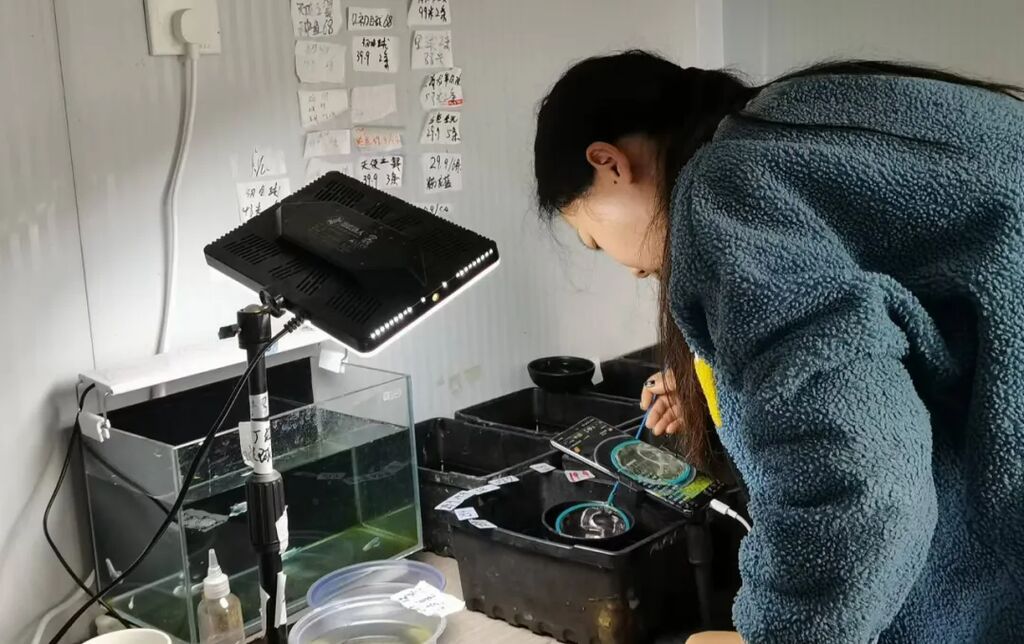 圖片