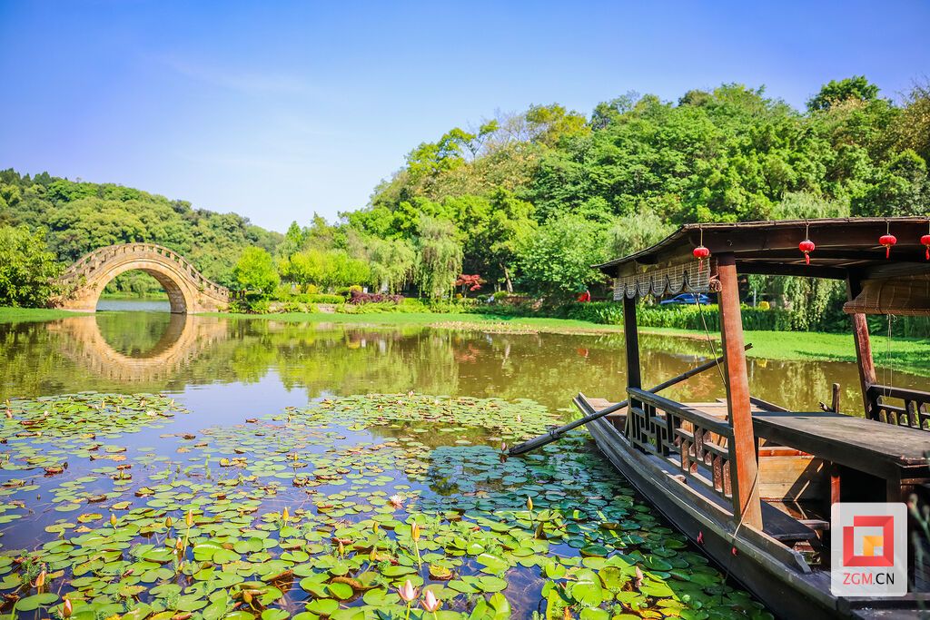 一湖碧水，半池莲影，古桥与画舫相映成趣 记者 宋姿熠 摄.jpg