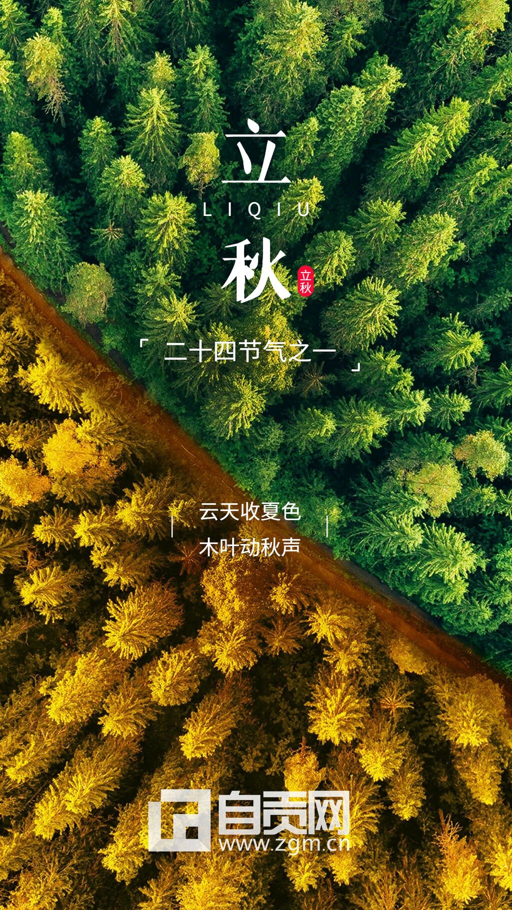 立秋3.jpg