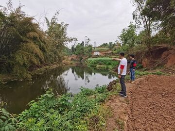 荣县古文镇：强化河湖生态保护 改善水域生态环境