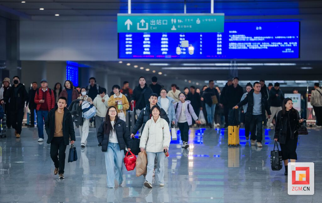 旅客们步履匆匆,平安抵达文献归途 记者 宋姿熠 摄.jpg