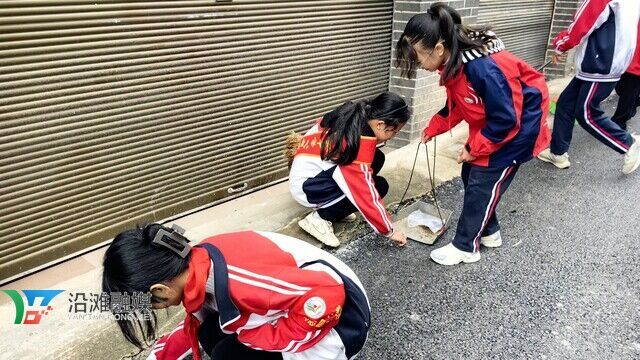 团员清除杂草 (1).jpg