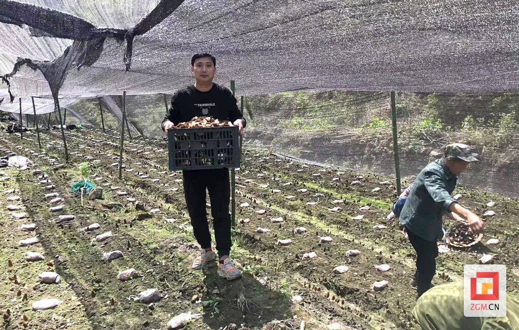 下载图片 (4).jpg