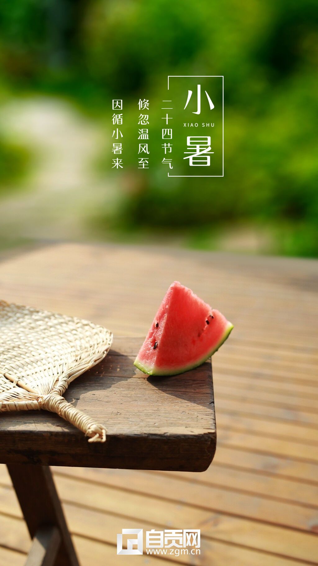 小暑節(jié)氣祝福排版手機(jī)海報(bào)(1).jpg