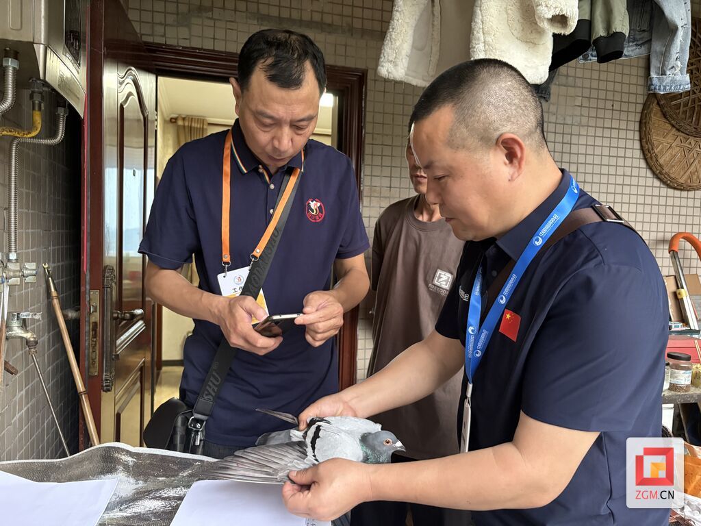 微信图片_20260603132550_410_11.jpg