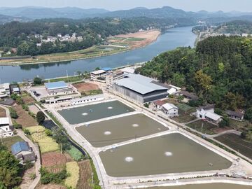 遂宁射洪：一条鱼“游”出的乡村振兴路