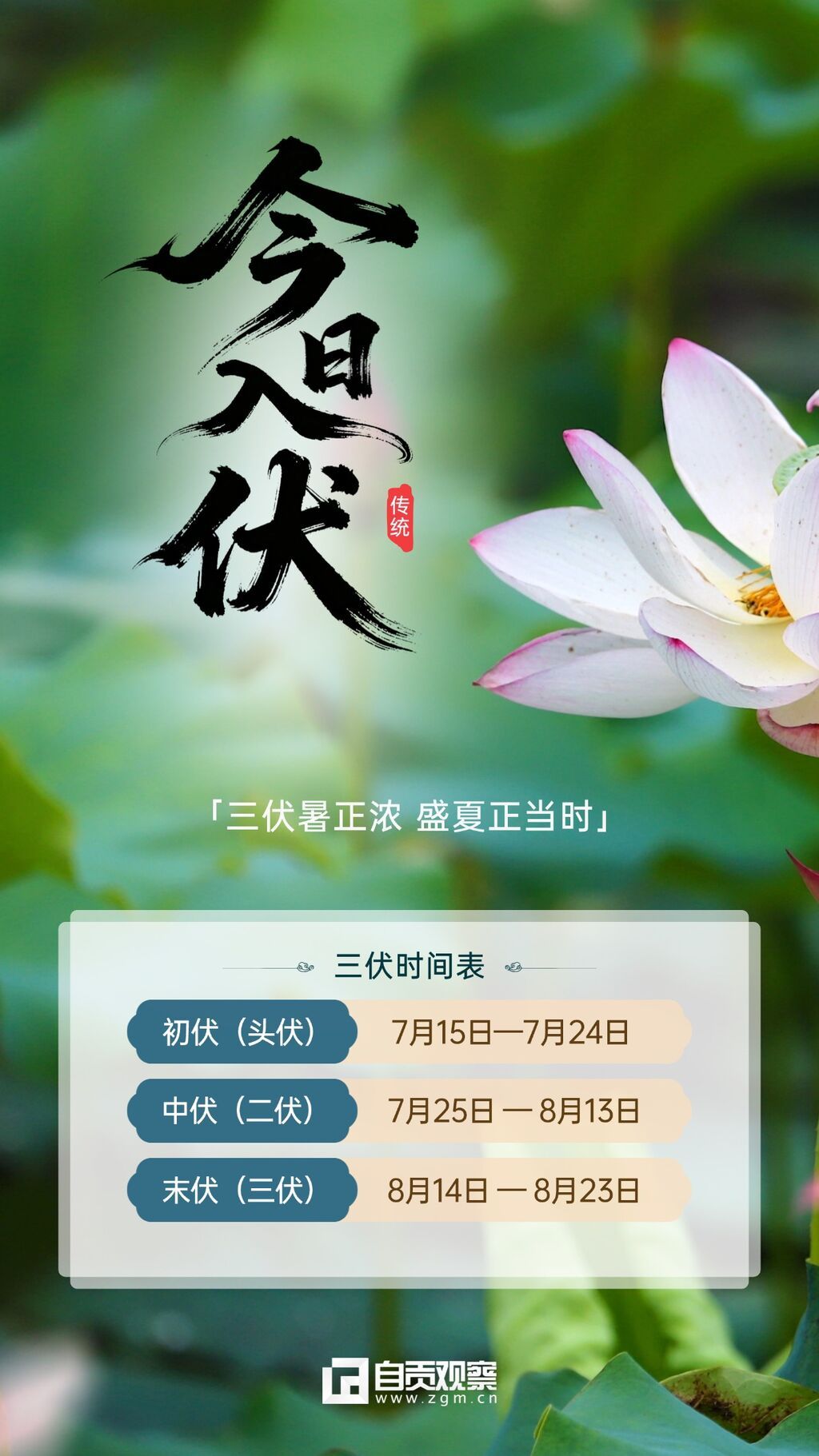 入伏02.jpg