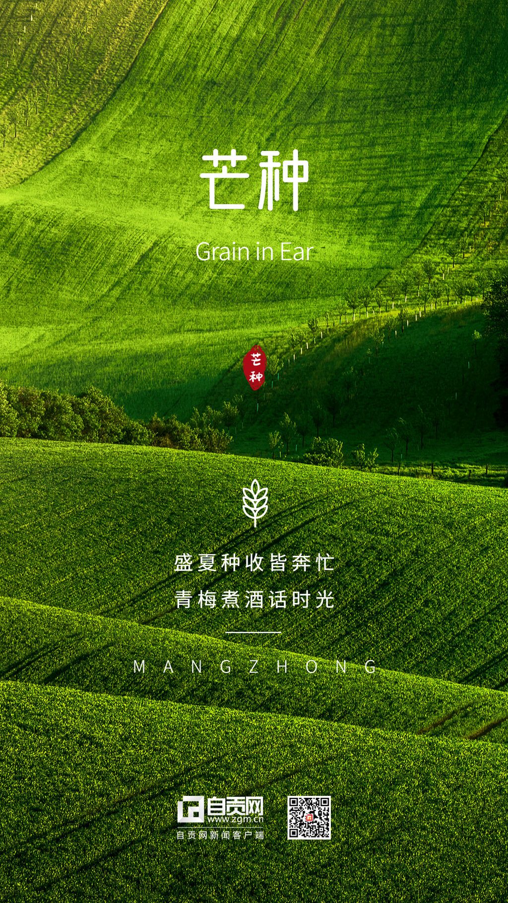 稿定設(shè)計-2.jpg