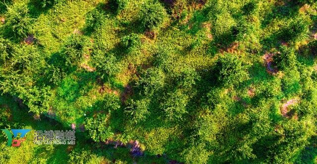 DJI_0133.JPG