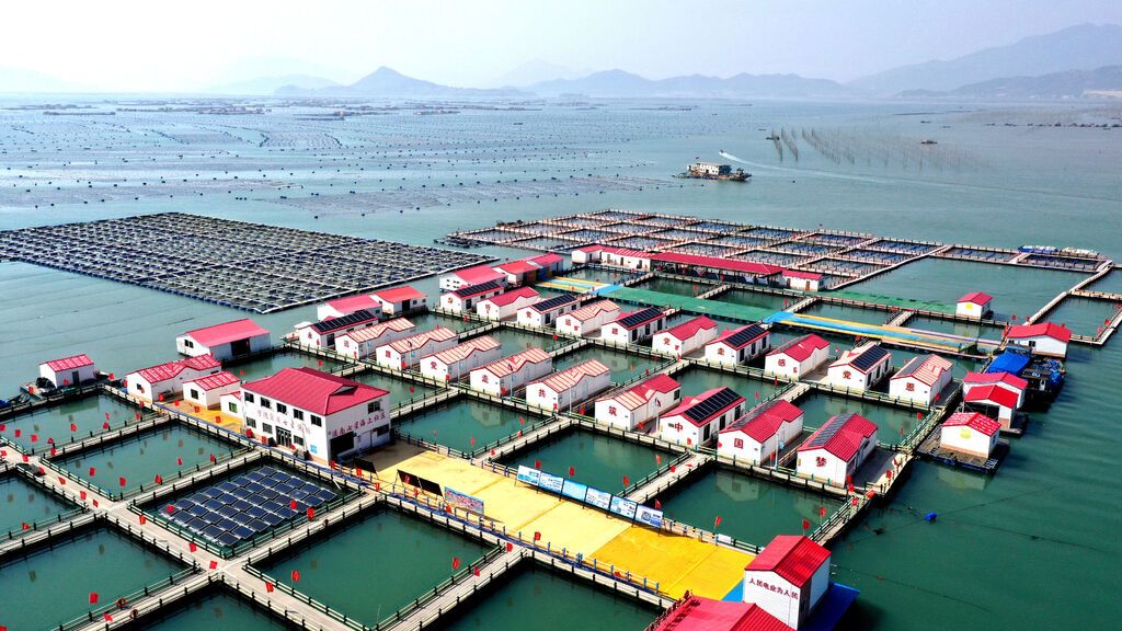 2024年3月20日,,福建省寧德市,霞浦縣溪南鎮(zhèn)七星村漁排養(yǎng)殖示范區(qū),,漁民駕駛養(yǎng)殖船進(jìn)行海參養(yǎng)殖作業(yè),。