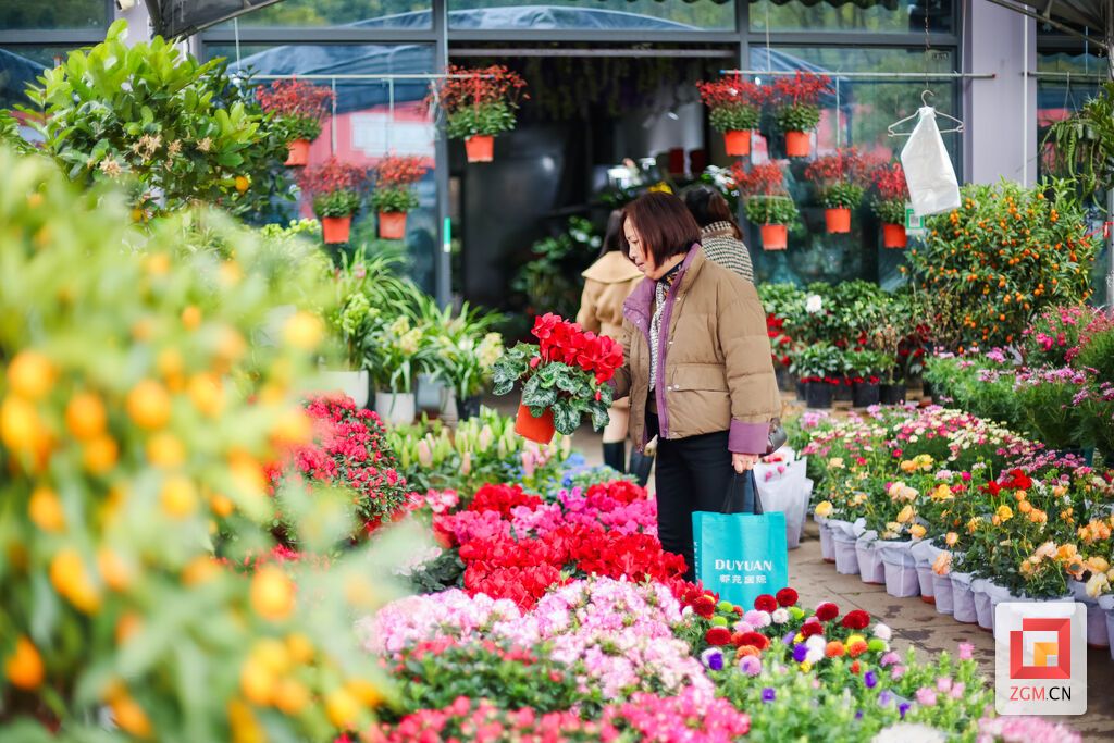 市民在姹紫嫣红的花架间驻足,挑选心仪的鲜花 记者 宋姿熠 摄.jpg