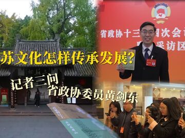 三苏文化怎样传承发展？记者三问省政协委员黄剑东