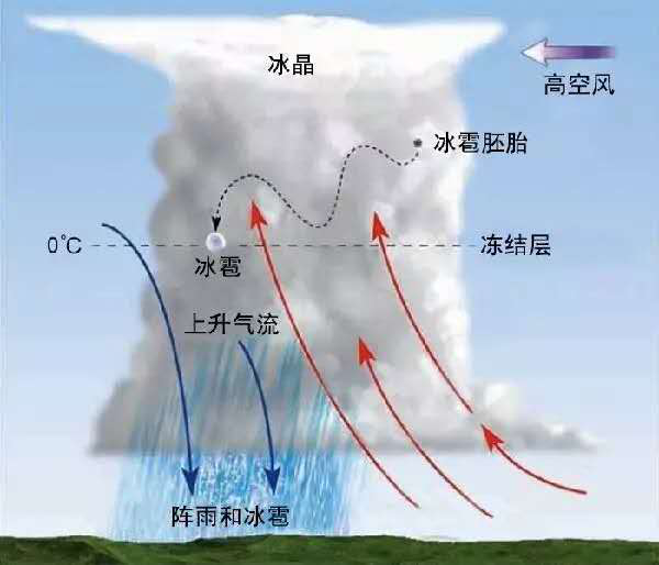 圖片2.png