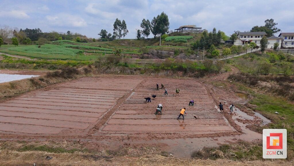 沿滩区永安镇云龙村村民正在春耕劳作 记者 罗祥瑞 摄 (4).jpg