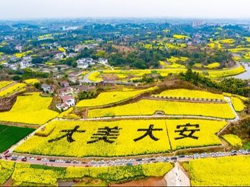 我的乡村超安逸丨“秀儿姐”的田野