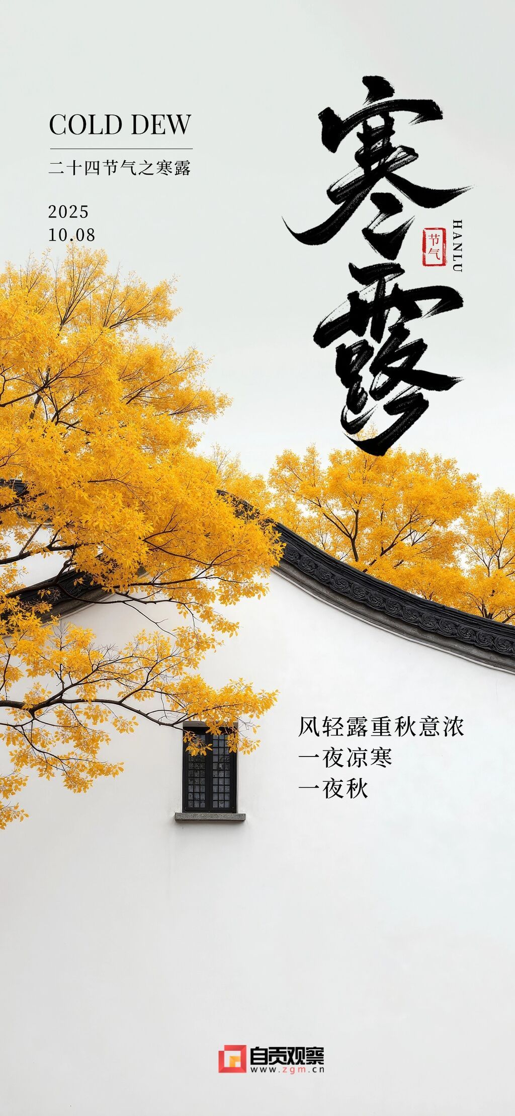 寒露节气祝福实景感全屏竖版海报AIGC.jpg
