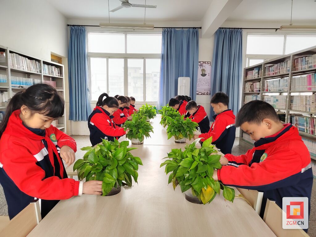整理图书室绿植5.jpg