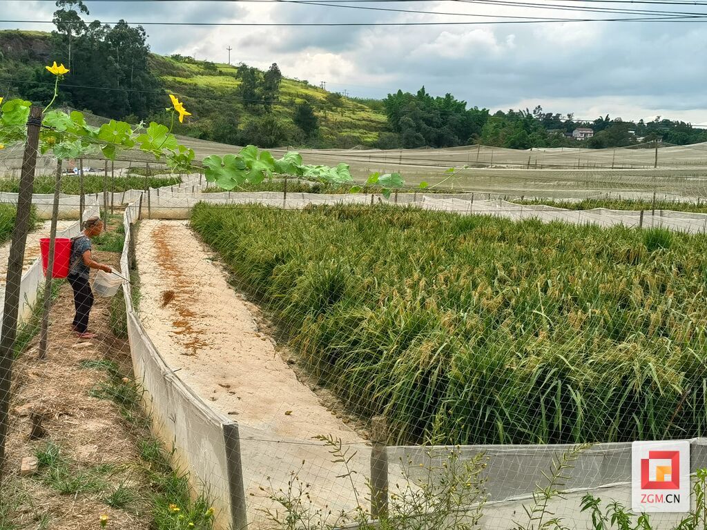 微信图片_20250908142409_197_31.jpg