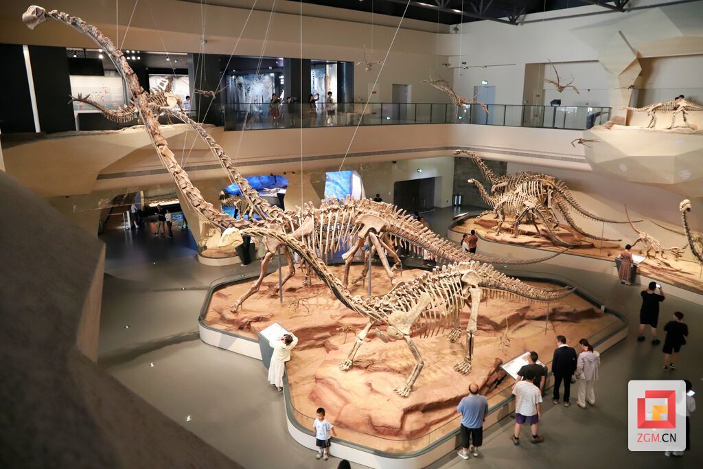 遗址馆首次展出的釜溪自贡龙(视觉最前方主体骨架).jpg