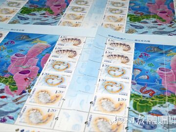 内自同城 |《世界自然遗产——澄江化石地》特种邮票在内江发行