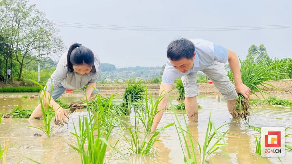 微信圖片_20240509213002.jpg