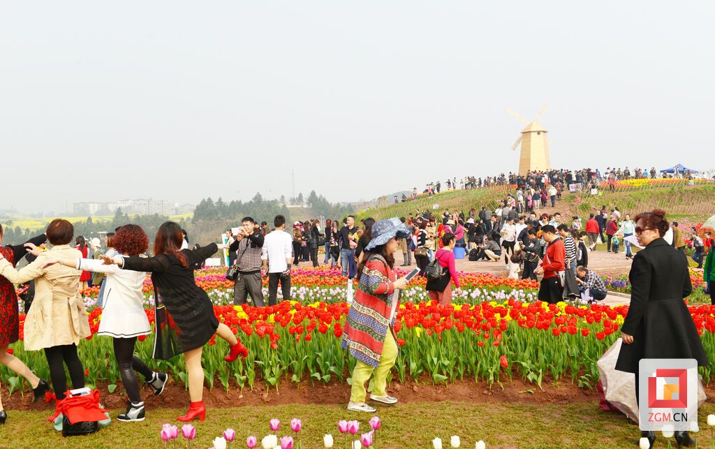 图：永安乡村旅游节