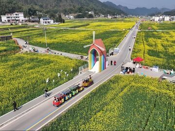 宜宾：高县万亩油菜花海引客来，乡情烟火抚人心