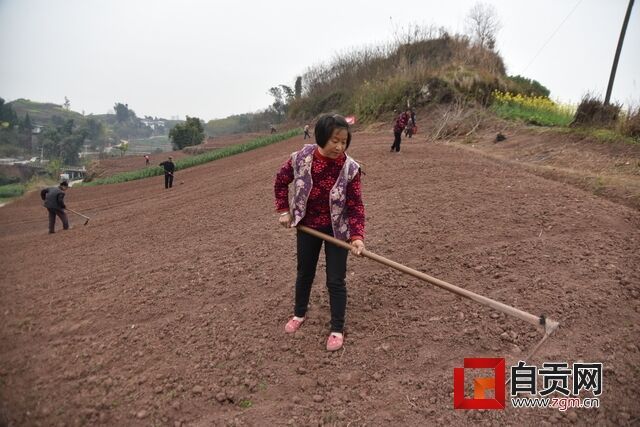 村民整理高粱集中育苗点土地.JPG