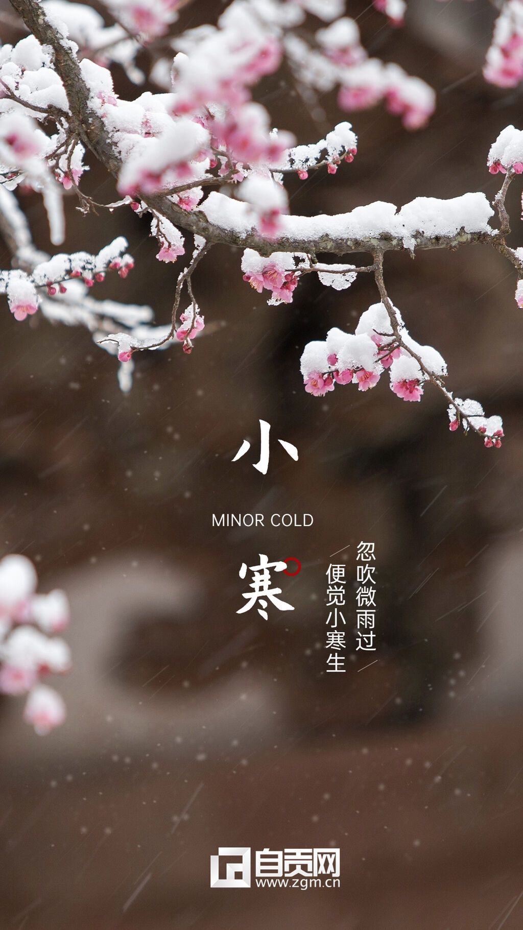 旅游出行節(jié)氣祝福實景豎版海報.jpg