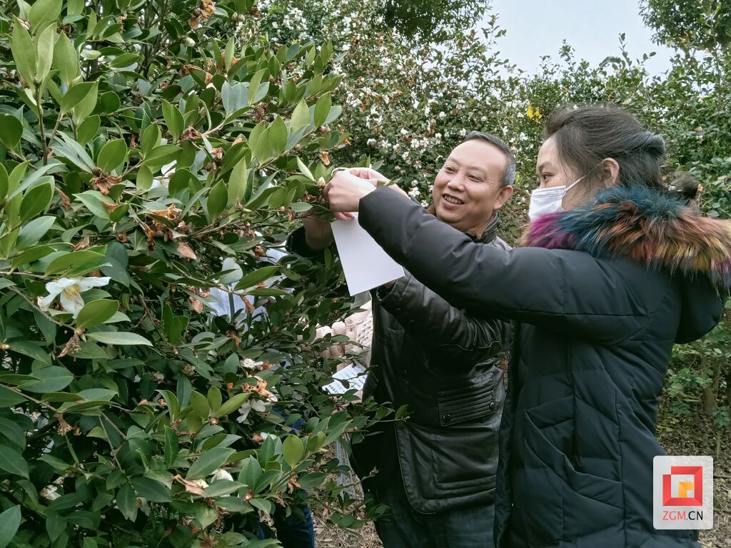 科技服务团给油茶编号牌.jpg