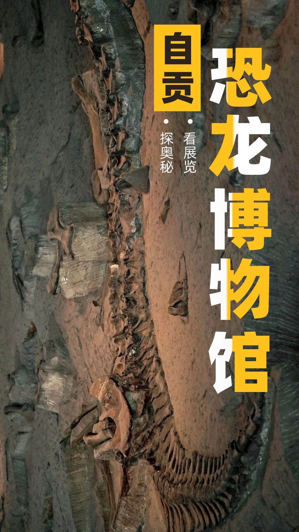 國際博物館日中國文化傳承手機(jī)海報(bào).jpg