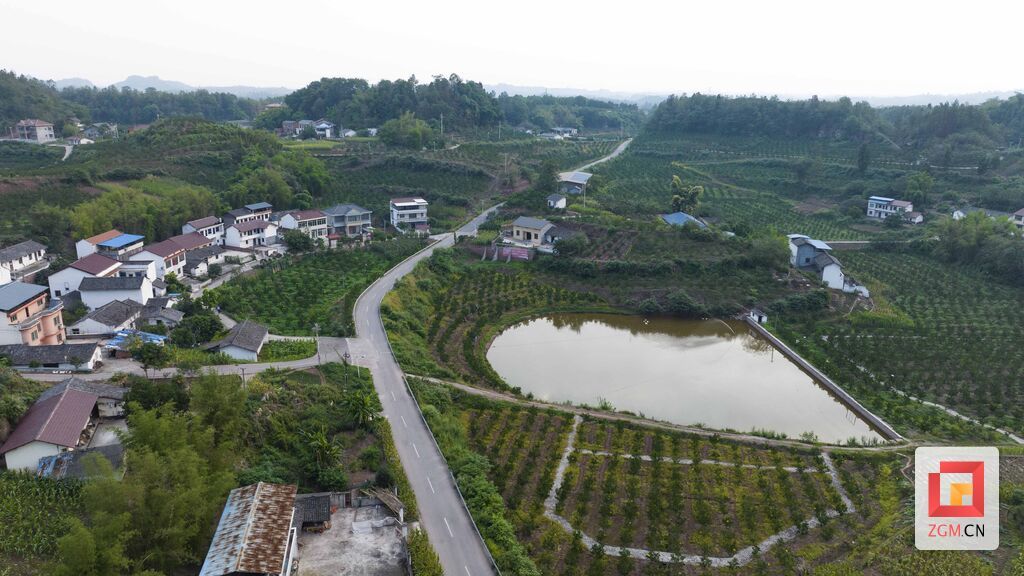 DJI_0710.jpg