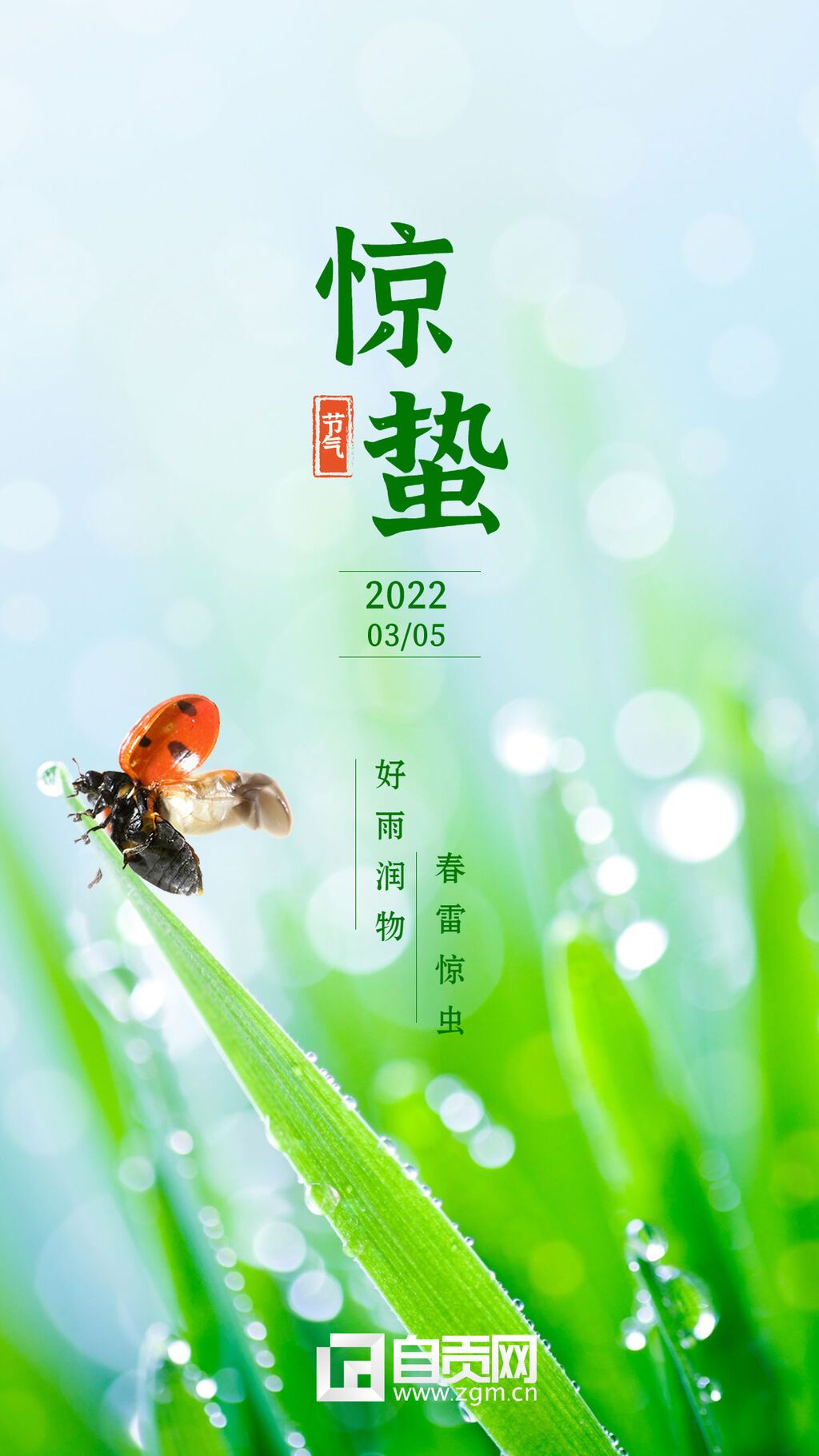 驚蟄節(jié)氣問候祝福春天你好手機(jī)海報.jpg