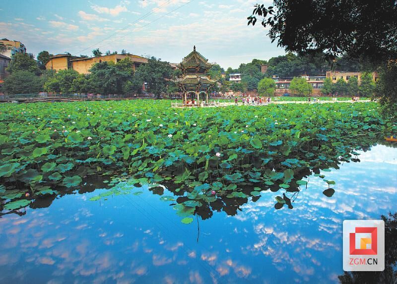 富順西湖.jpg