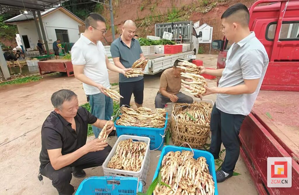 微信图片_20260731222129.jpg